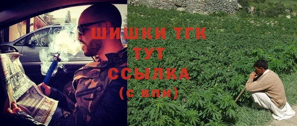 твердый Алексин