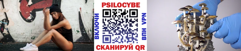 Псилоцибиновые грибы Psilocybe  Ижевск 