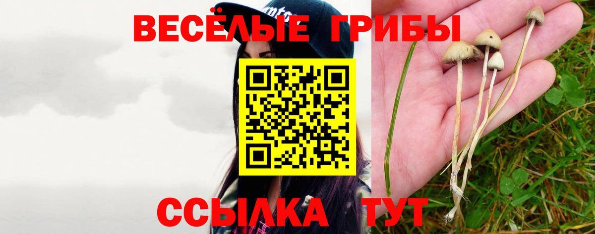 Псилоцибиновые грибы Cubensis  Вход с VPN  Ижевск 